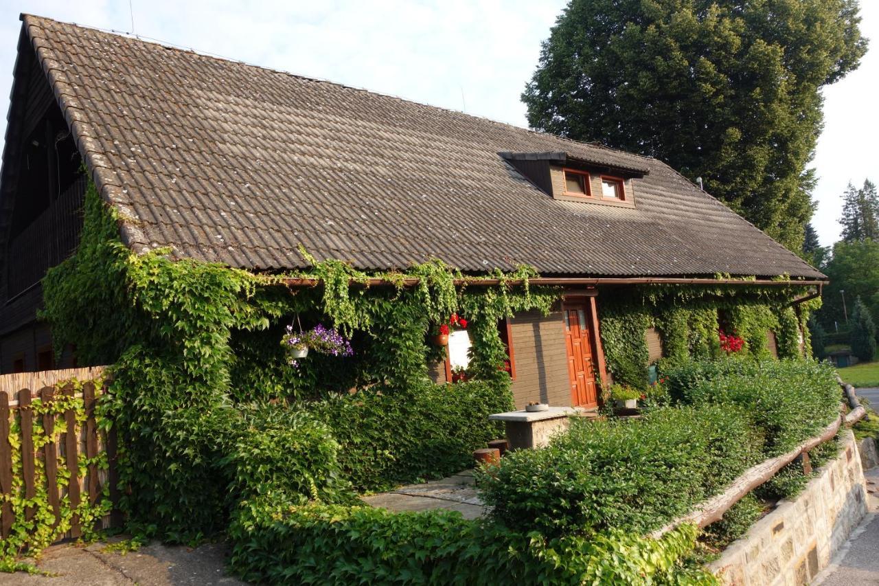Pod Lipou Hotel Dolni Brusnice Bagian luar foto