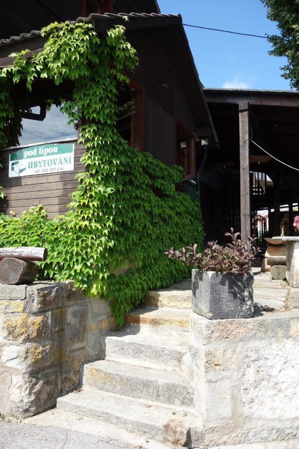 Pod Lipou Hotel Dolni Brusnice Bagian luar foto