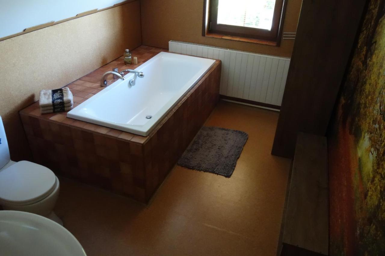 Pod Lipou Hotel Dolni Brusnice Bagian luar foto